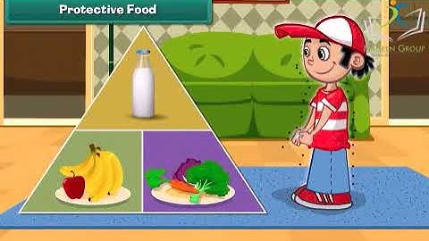 Class 2 EVS || Chapter Food and Health || CBSE