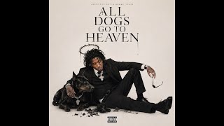 NBA YOUNGBOY - HAVE YOU EVER (LIFE IN DANGER) [OFFICIAL AUDIO]