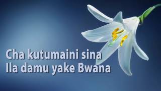 BITI TA TENZI NAMBA 15, CHAKUTUMAINI SINA.