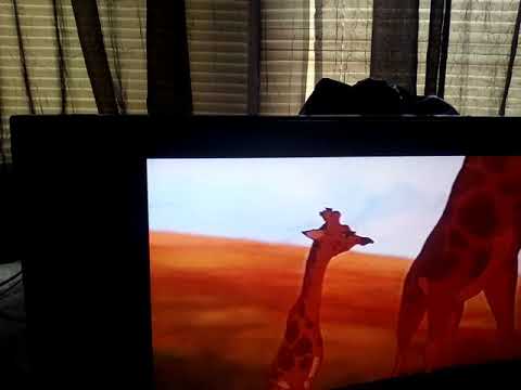 Opening to The Return of Jafar Vhs