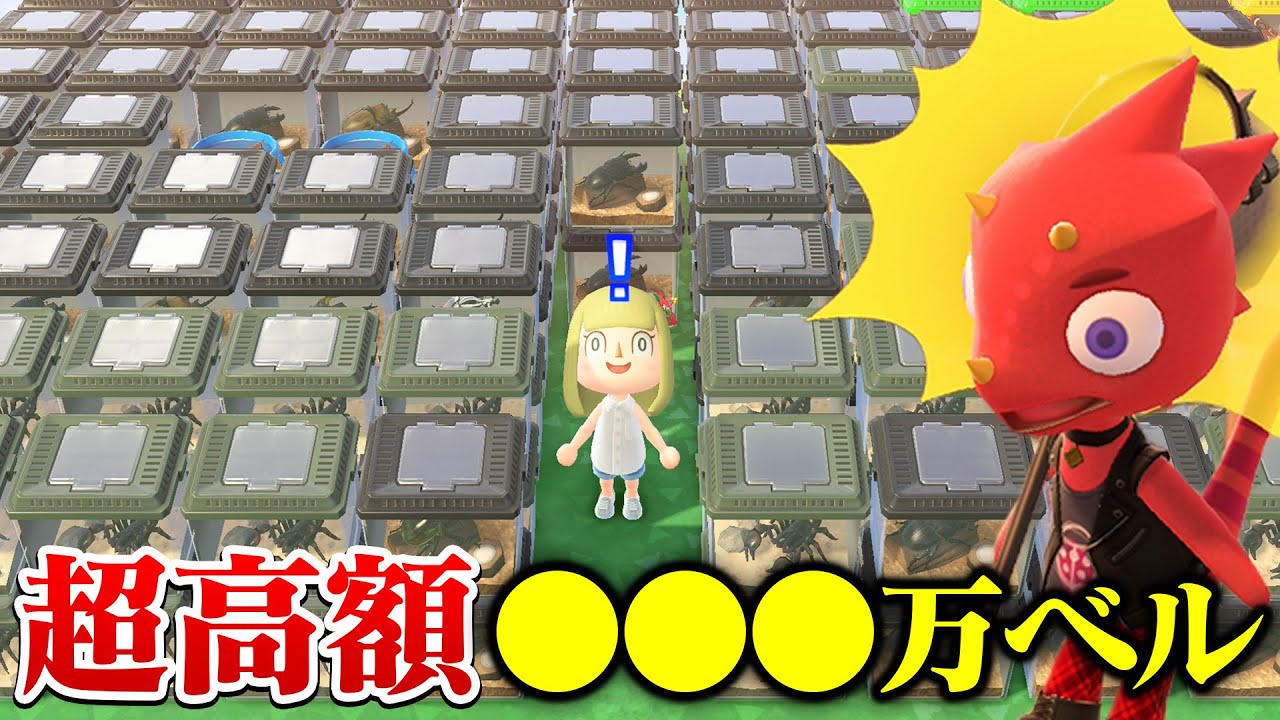 ★海外版・アジア版★ あつまれ どうぶつの森 店頭POP 非売品 激レア Animal Crossing: New Horizons] Unexpectedly, it's super expensive