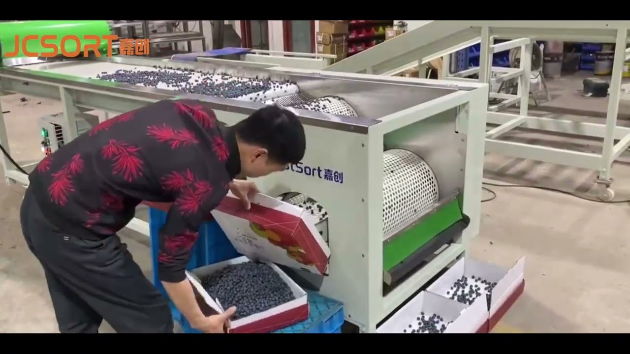 JC SORT Small Blueberry Grader – Boost Efficiency & Quality!
