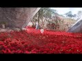 Infinity Nikki - Prélude