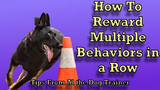 How To Reward Multiple Behaviors In A Row!  Tips From Al the Dog Trainer