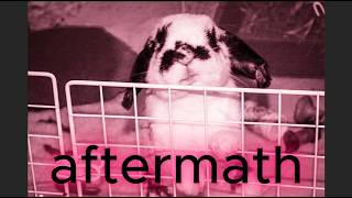 no.58 // aftermath 100%