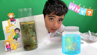 Why do food coloring mix in water not in oil? Fireworks In a Jar, Kids Experiment- Life of Ranvir screenshot 3