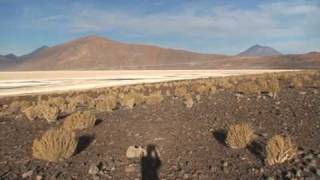 NORTE DE CHILE: escenas del altiplano (Ollagüe) + Ruta Costera (Tocopilla)