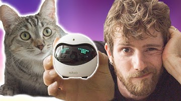 I WASTED $240 on my cat - enabot EBO Catpal