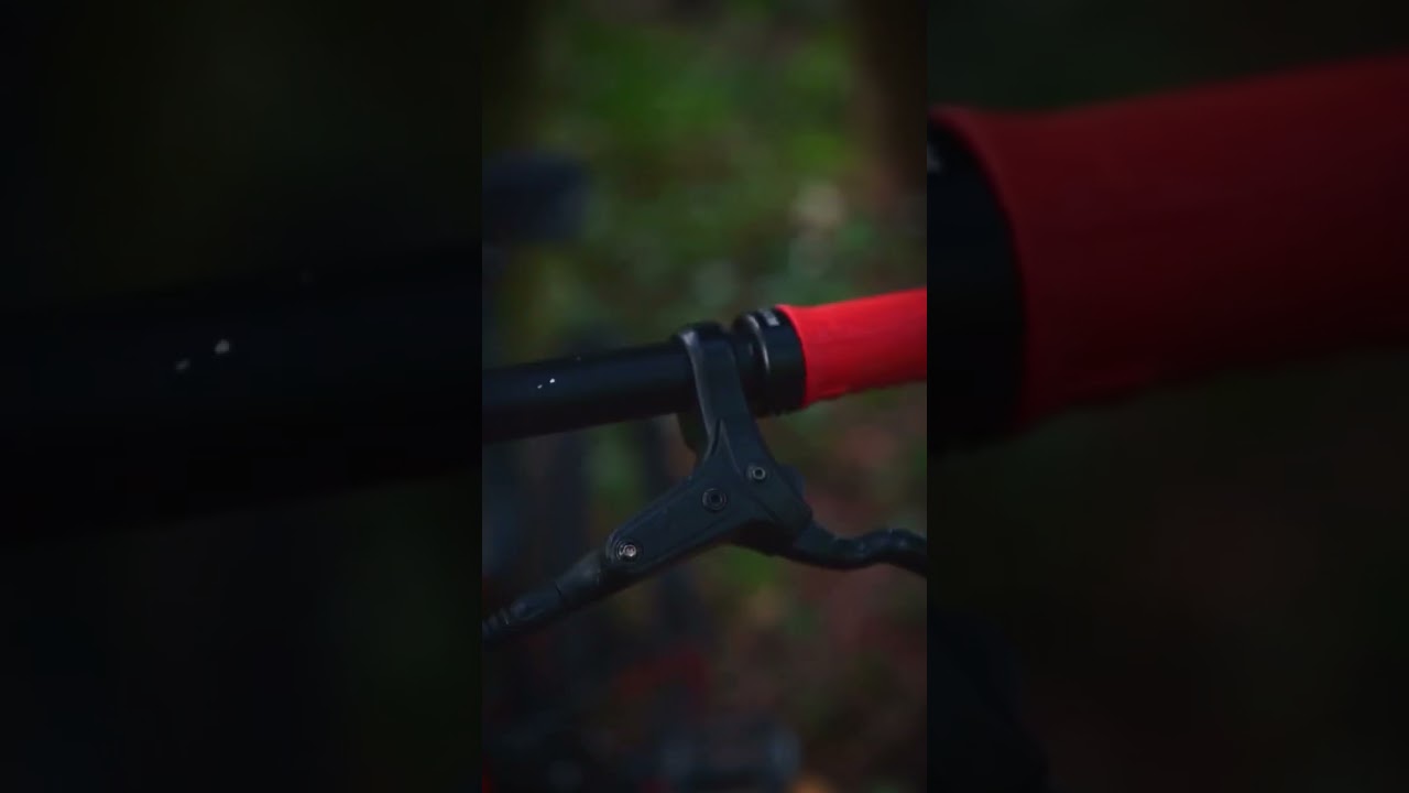 Full suspension, Polygon D7 MTB cinematic