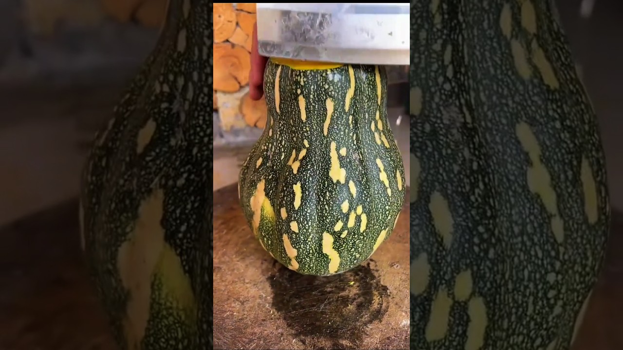 SQUASH Fans Get Ready For Something AMAZING!