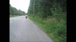 60cc chainsaw bike full throttle riding