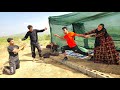 عودة إلى الحياة أم بداية كابوس مصير آفا وأمير بعد عودتهما