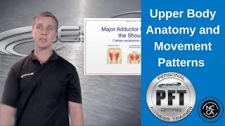 Upper Body Anatomy and Movement Patterns - Personal Trainer Education