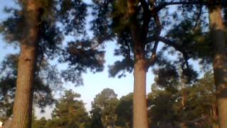 Capture 20120726 2