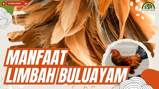 Ternyata Limbah Bulu Ayam Bermanfaat bagi Pertanian! | Bayu Diningrat Mbah Bams