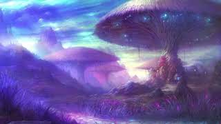 xander. & No Spirit - Wall