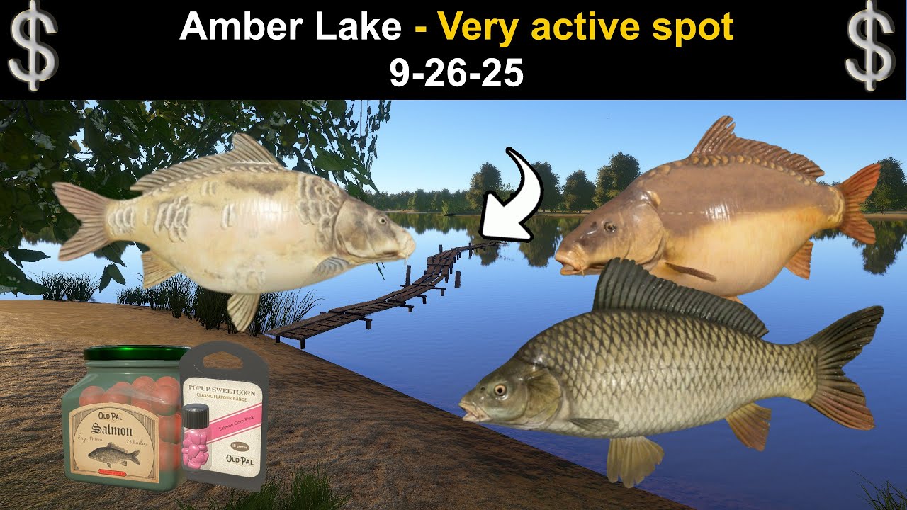 Русская рыбалка 4, Янтарное озеро — очень активное место 26.09.25
