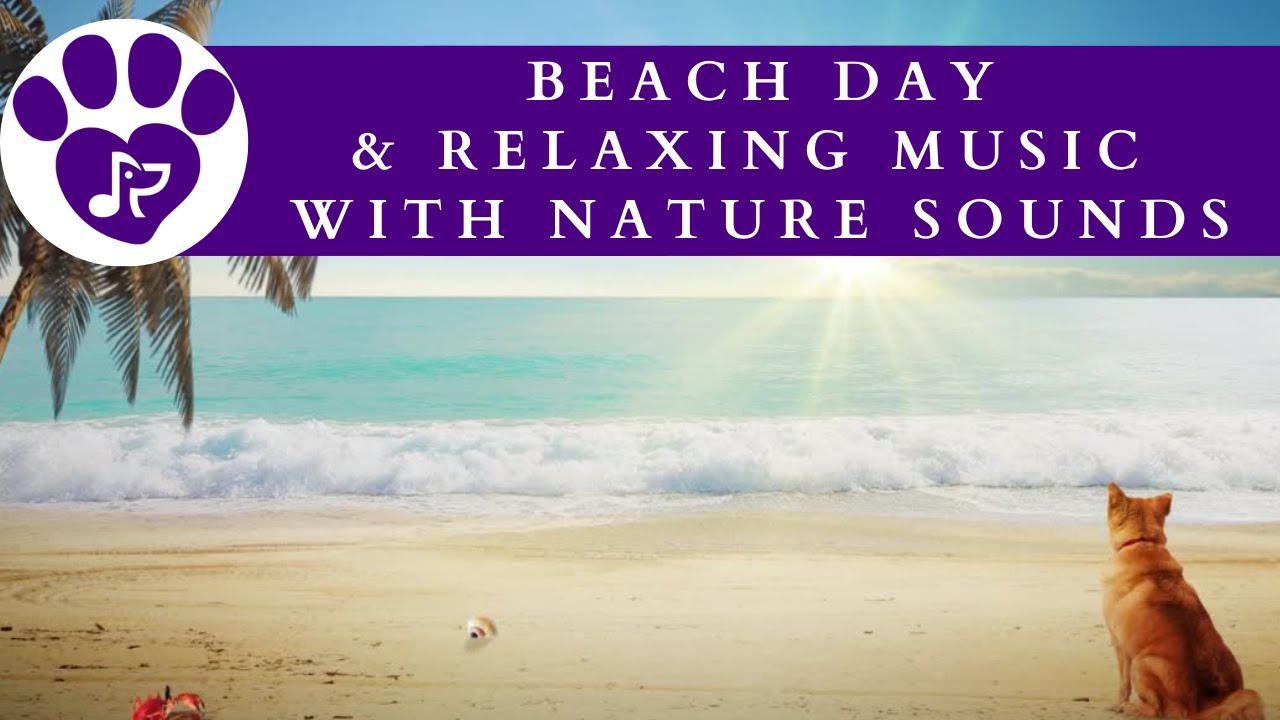 Pet Beach Day with Calm Music and Wave Sounds [10 Hours] 🪁 Music to Relax Your Dog and Cat