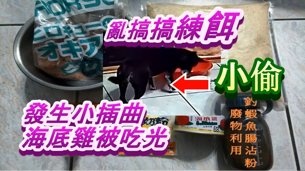 磯釣練餌製作分享，試釣黑鯛、紅槽咬況不錯，要注意製作小細節，做到一半遭小偷??[熊熊練餌][磯釣][筏釣]