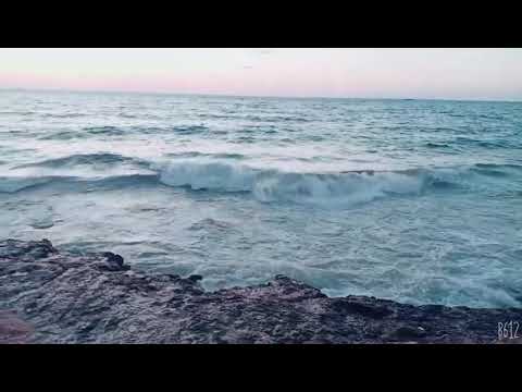 دنيته وحشاني