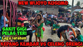 Sakit Gigi & Pelas Teri Solah KEPANG KEMBAR VS CELENG SRENGGI Jaranan New Wijoyo Kusumo