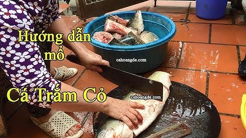 Hướng dẫn MỔ CÁ TRẮM CỎ, làm CÁ TRẮM TRẮNG đơn giản tại nhà | Cá Hoàng Đế