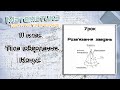 11 клас. Тіла обертання. Конус. Урок 2