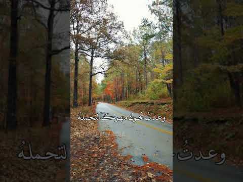 سلمت قلبي ياربي لتغسله 