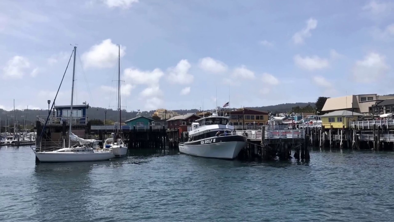 MONTEREY BAY - YouTube