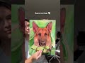 #petmemorial #painting #art #painting #artist #petportrait #pets #petloss #petlover #petshorts