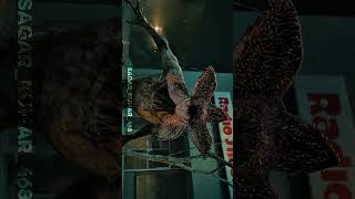 Stranger Things  🔥 | Vecna Return | Eleven &amp; Eddie Munson Edit #shorts hawkins | upside down | st5