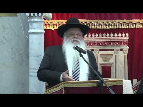 עולם הפוך | הרב דניאל זר