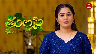 Thulasi | 19th April 2024 | Full Episode 117 | ETV Plus