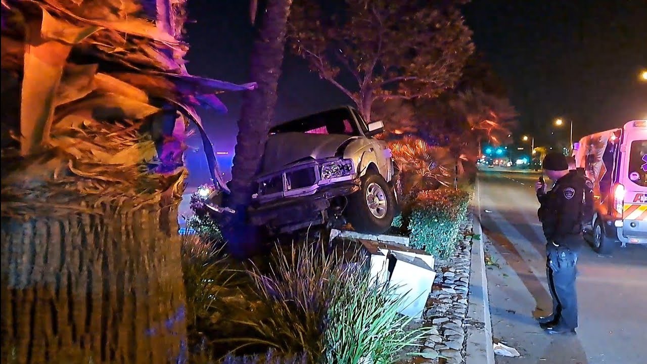 FORD TRUCK SLAMS INTO A PALM TREE & IRRIGATION SPRINKLER SYSTEM IN ...