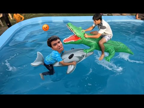 Dolphin vs Crocodile Big Clash 😨 