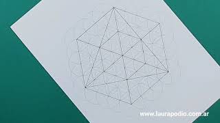 Tutorial #156   Cómo dibujar un  #CuboMetatron sobre la #FlorDeLaVida  How to draw metatron cube