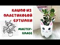 Кашпо из пластиковой бутылки. Мастер-класс