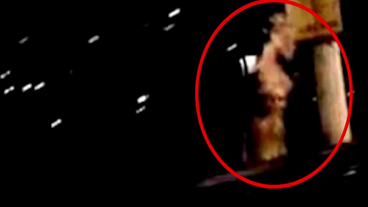 15 SCARY VIDEOS WITH HORRIFYING ENCOUNTERS visual data 4