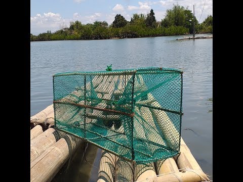 How to make shrimp trap,earned money in legit ways part1
