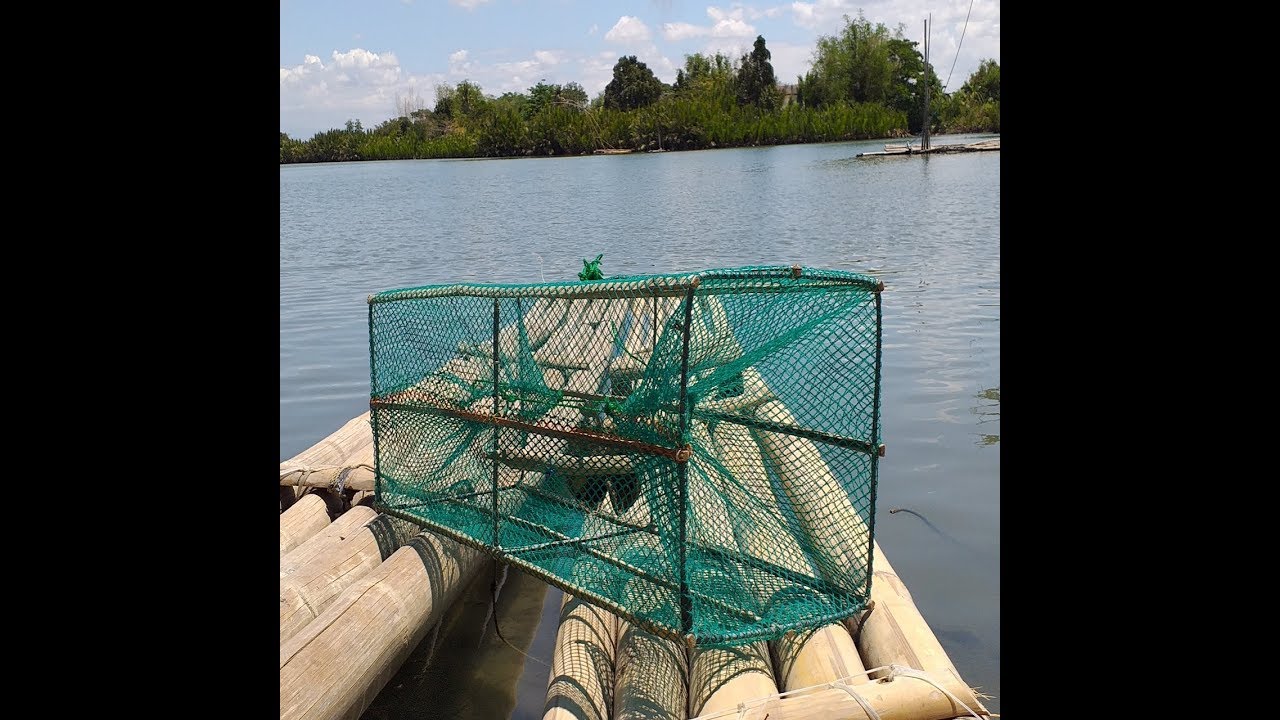 How to make shrimp trap,earned money in legit ways part1 YouTube