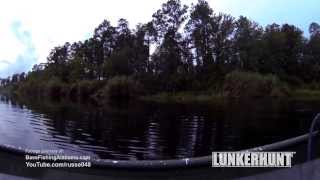 Lunker Frog Video