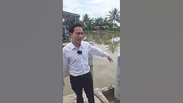 CỌC DƯỚI SÔNG P2  #nhadep #nhadepgiare #home #vuk7 #xaynhatrongoi#BIENLAN#xaynhauytin