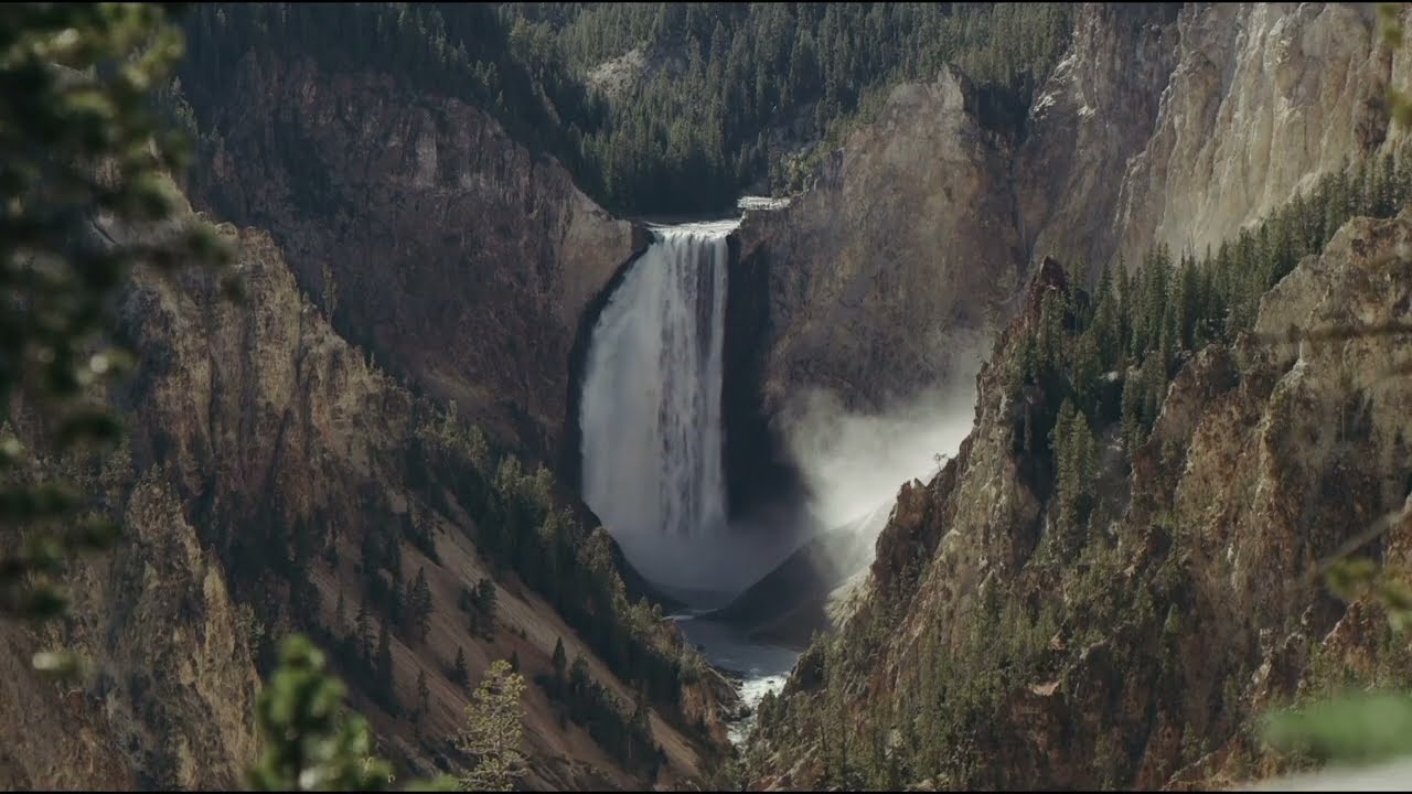 The History of Limestone Branch Distillery