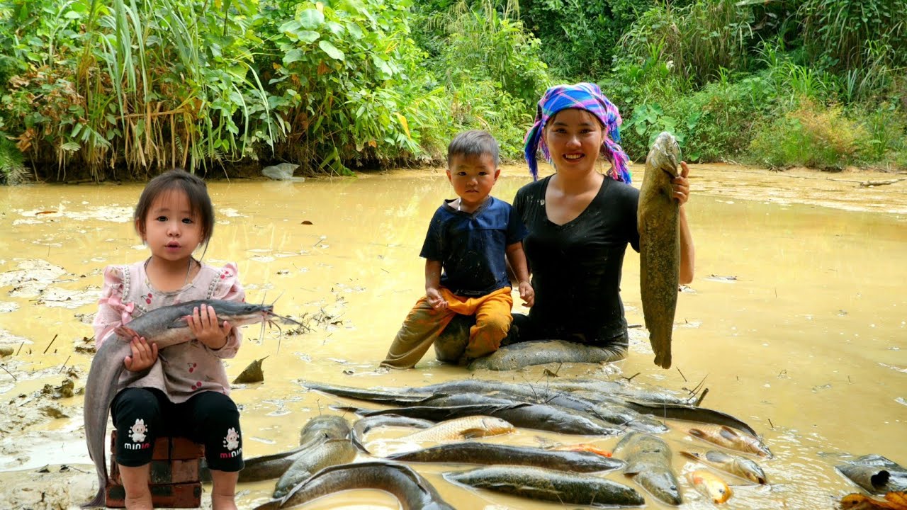 Catching fish, trapping fish, harvesting giant fish to sell - cooking with two small children