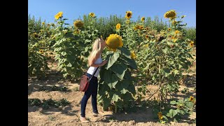 Guided Meditation - Inner Garden