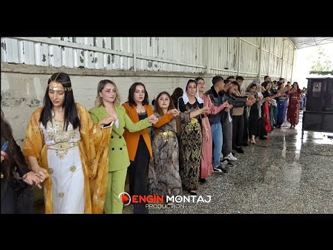 Feyyaz Basut Düğünün'den