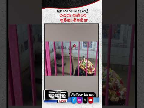 ଓଡିଶା ପାଇଁ ଆସିଲା ବଡ ବିପଦ ପାଣିରେ ବୁଡିଗଲାଣି ଶିବଲିଙ୍ଗ...  #ytshorts #shortsvideo #Jajpur #MaaBiraja