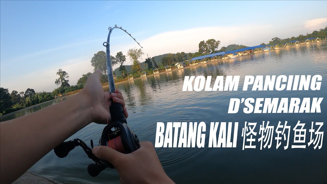 Batang Kali 怪物钓鱼场 @Kolam Pancing D‘semarak // Chaopraya上到手都累了！#feedjungle #dranckrazy #abugarcia