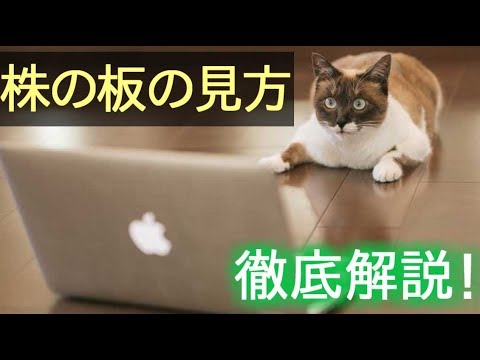 板の見方を徹底解説！板情報から株価の動きを読み取ろう
