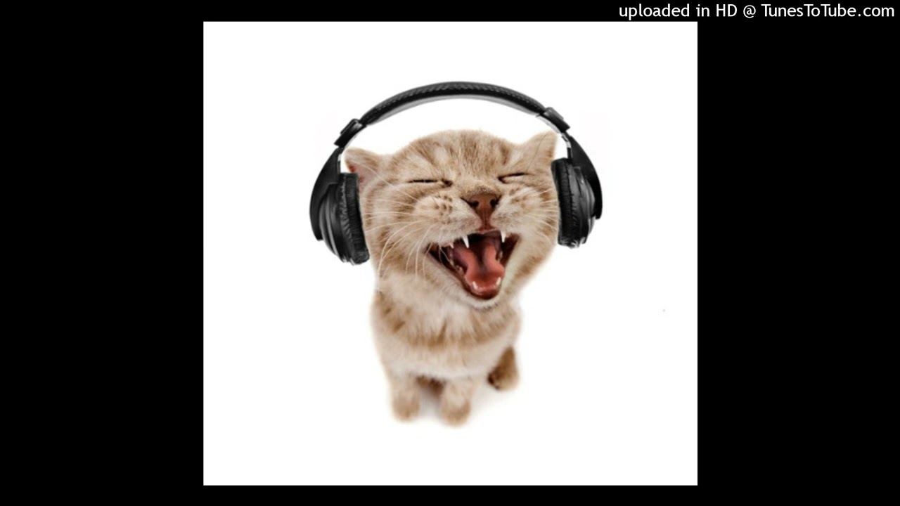 che ginseng prettifun type beat